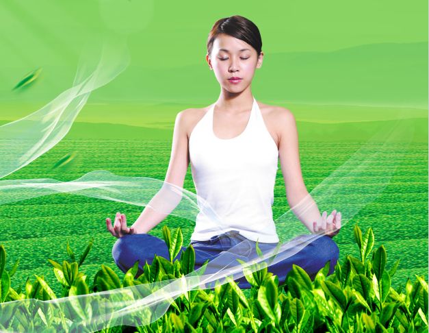 高中毕业证书的样子